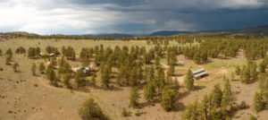 trees with mountain in the horizon