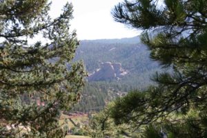 property on horizon as viewed through trees