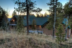 treeline and horizon