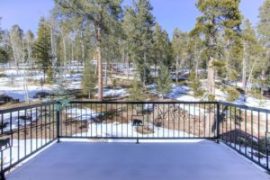 snow covered walkways