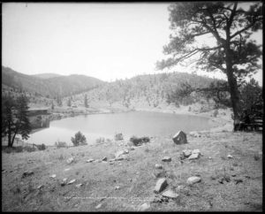 black and white view of grounds