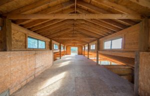 barn stalls