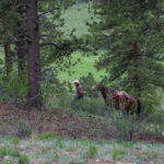 Barn Misc 2_zpswlryrdxf