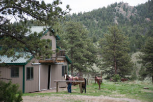 woods and mountain view from ranch