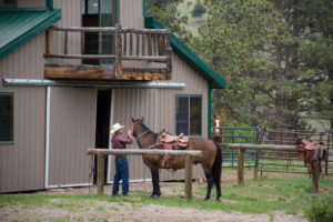 horse near ranch