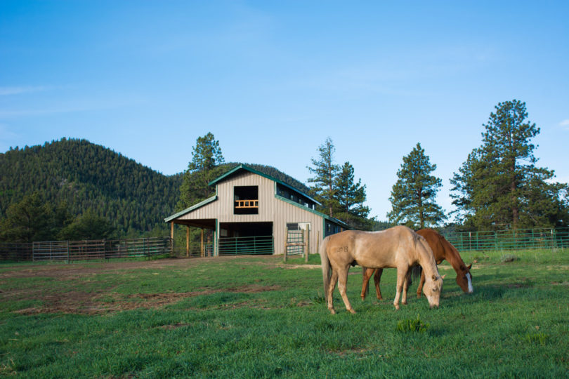 co-horse-ranch-for-sale-bear-bones-ranch-westcliffe-colorado