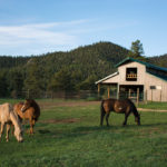 Barn Misc 8_zpsc0fbvvwg