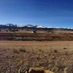 IMG_0134_zpsf7cb5c98