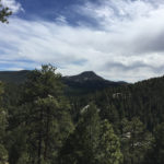 IMG_2043_zps7qxnjsv6