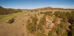 ranch behind tree line