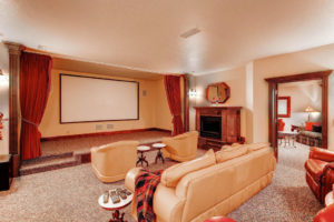 entertainment center/room