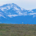 banner-bear-bones-ranch