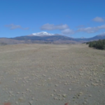 Screen Shot 2017-12-28 at 9.45.02 AM