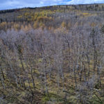 DJI_0041_2_3_4_5_easyHDR-default