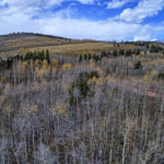 DJI_0066_67_68_69_70_easyHDR-default