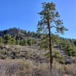 _DSC8187_88_89_90_91_92_93_easyHDR