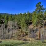 _DSC8454_55_56_57_58_59_60_easyHDR