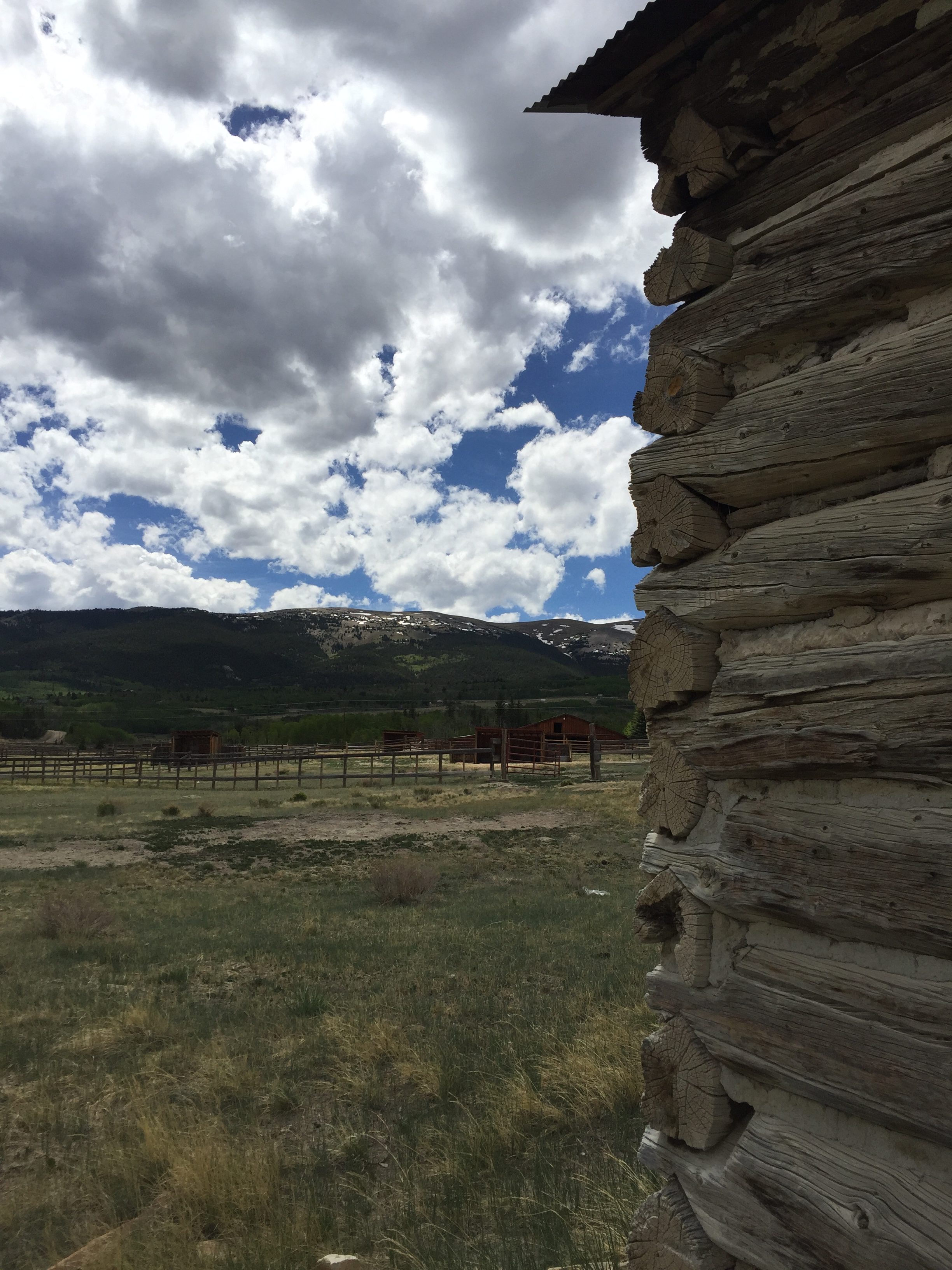 IMG_3917 corner of barn