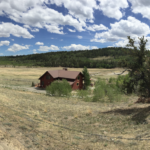 Screen Shot 2018-07-11 at 8.15.11 AM