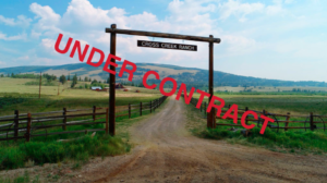 Under Contract!