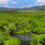 Untitled Project8 copy