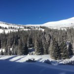 2015-11-29 08.51.00-1