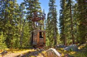 trees in the distance