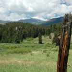 CAMP-ROCK-6-26-06-013-1-1024×681