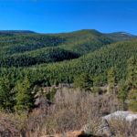 Screen Shot 2019-04-11 at 5.22.06 PM