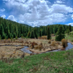 Screen Shot 2019-05-21 at 1.08.48 PM