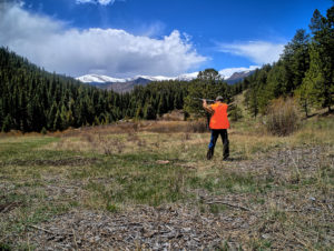 standing in clearing