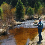 Screen Shot 2019-05-22 at 3.23.49 PM