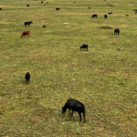 DJI_0056_57_58_59_60_easyHDR-default