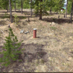 Screen Shot 2019-06-16 at 3.07.10 PM