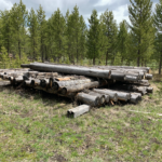 Screen Shot 2019-06-16 at 3.34.34 PM