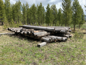 felled lumber