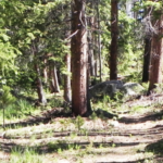 Screen Shot 2019-06-16 at 4.43.00 PM