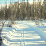 Screen Shot 2019-06-16 at 4.43.54 PM