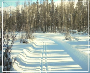 snow covered trail