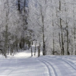 Screen Shot 2019-06-16 at 4.49.55 PM