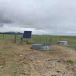 Screen Shot 2019-07-03 at 8.16.02 AM