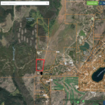 Screen Shot 2019-12-06 at 4.46.42 PM