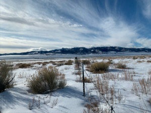 horizon view in winter