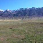 Screen Shot 2021-06-10 at 7.31.39 AM