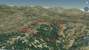 aerial view with property lines