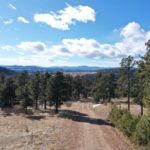 Screen Shot 2021-01-25 at 10.44.13 AM