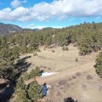 Screen Shot 2021-01-25 at 10.44.46 AM