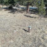 Screen Shot 2021-01-25 at 10.45.57 AM