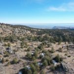 Screen Shot 2021-01-25 at 10.47.17 AM