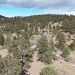 Screen Shot 2021-01-25 at 10.47.53 AM